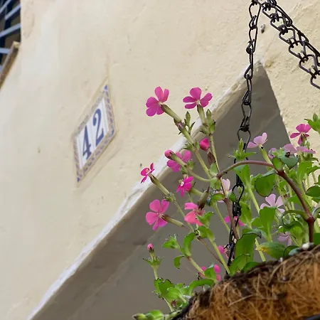 Cueva Colorin Alloza.